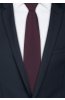 Pánská kravata BANDI, model CASIO 05